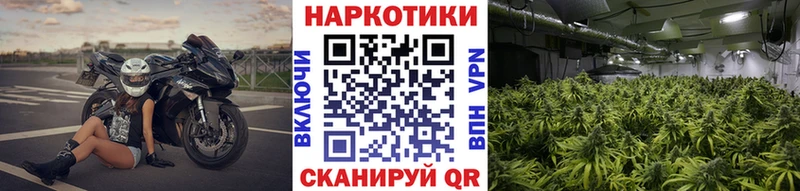 Купить закладку Мензелинск APVP  Меф  Гашиш 