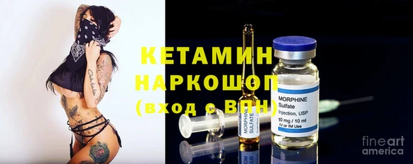 хмурый Пересвет