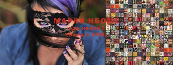 хмурый Алзамай